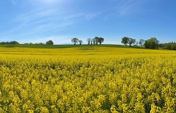 баннеры раменское